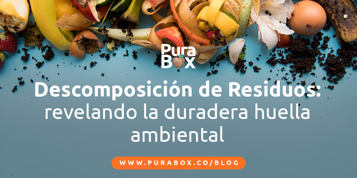 Descomposición de Residuos: Comprende su impacto y adopta alternativas